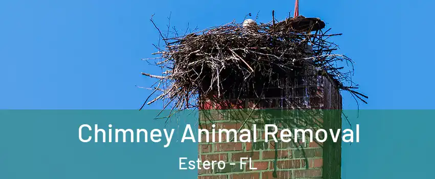  Chimney Animal Removal Estero - FL
