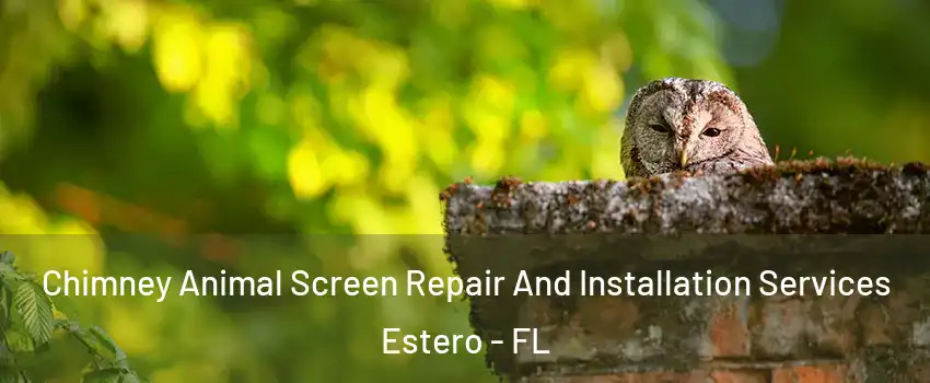  Chimney Animal Screen Repair And Installation Services Estero - FL