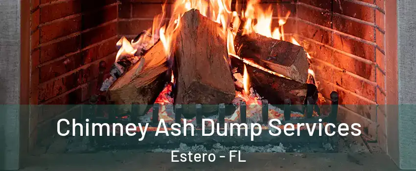  Chimney Ash Dump Services Estero - FL