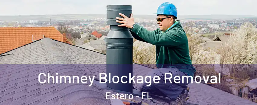  Chimney Blockage Removal Estero - FL
