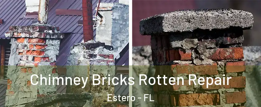  Chimney Bricks Rotten Repair Estero - FL