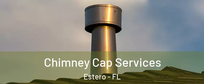  Chimney Cap Services Estero - FL