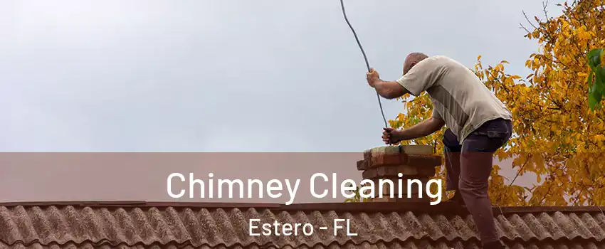  Chimney Cleaning Estero - FL