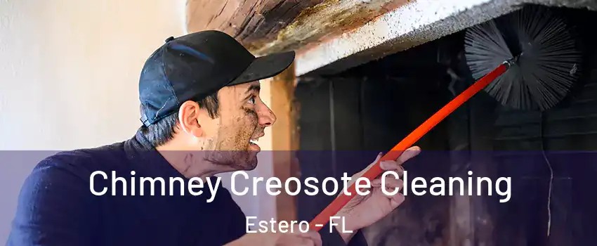  Chimney Creosote Cleaning Estero - FL
