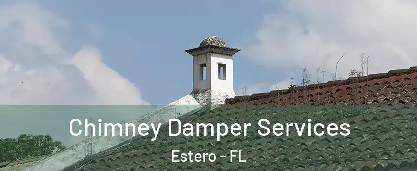  Chimney Damper Services Estero - FL
