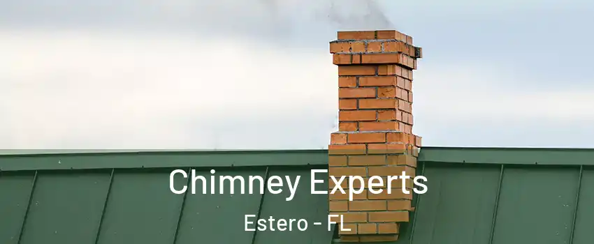 Chimney Experts Estero - FL