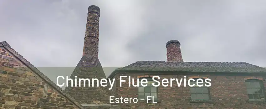  Chimney Flue Services Estero - FL