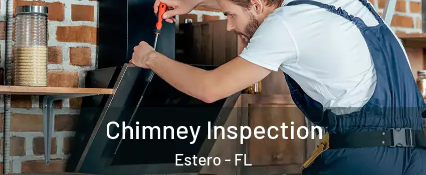 Chimney Inspection Estero - FL