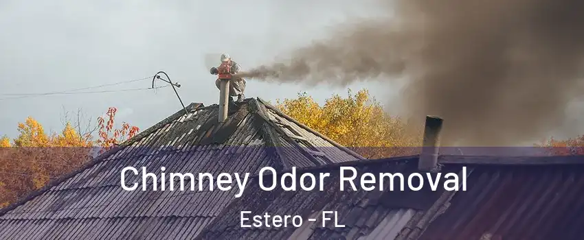  Chimney Odor Removal Estero - FL