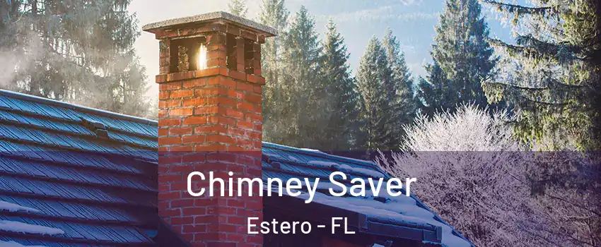  Chimney Saver Estero - FL