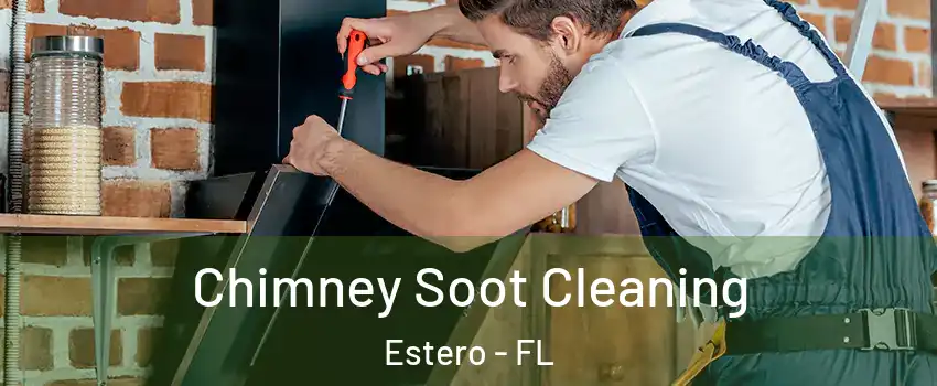  Chimney Soot Cleaning Estero - FL