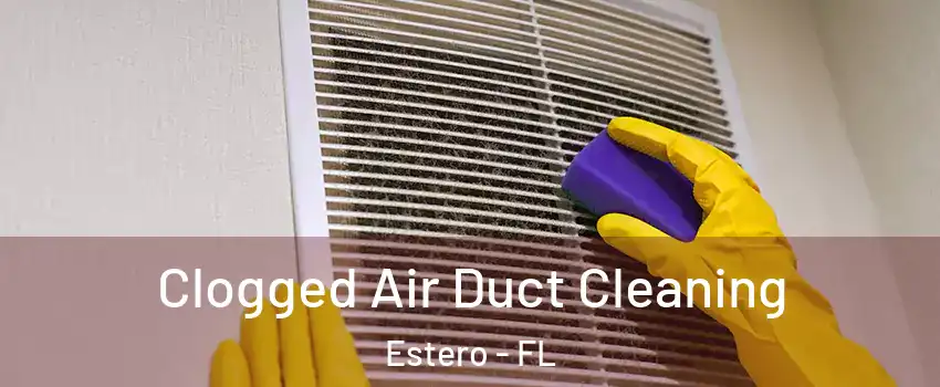  Clogged Air Duct Cleaning Estero - FL
