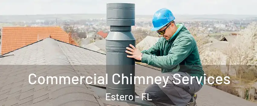  Commercial Chimney Services Estero - FL