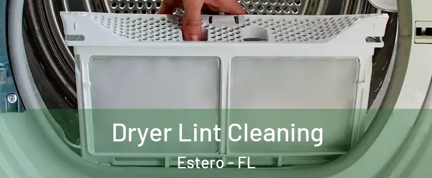  Dryer Lint Cleaning Estero - FL