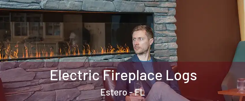  Electric Fireplace Logs Estero - FL