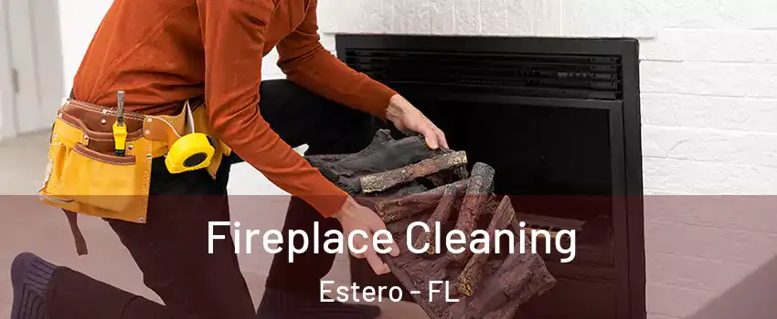  Fireplace Cleaning Estero - FL