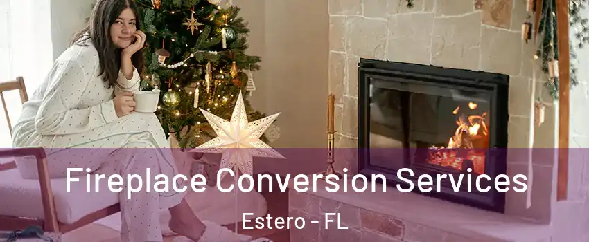  Fireplace Conversion Services Estero - FL