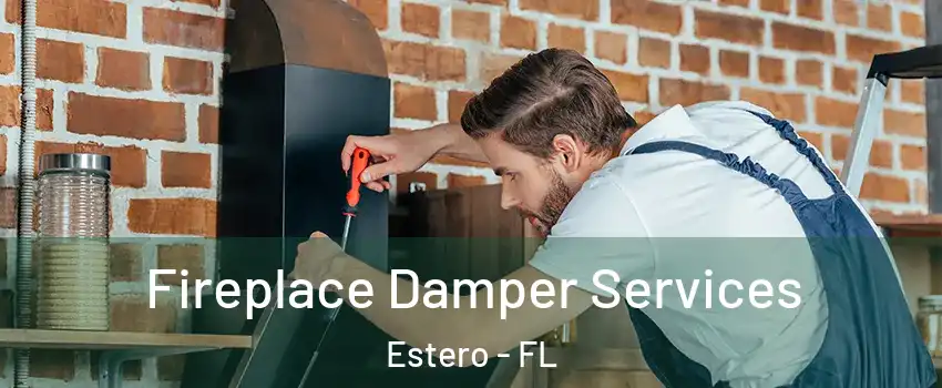  Fireplace Damper Services Estero - FL