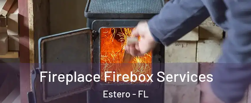  Fireplace Firebox Services Estero - FL