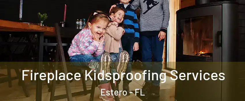  Fireplace Kidsproofing Services Estero - FL