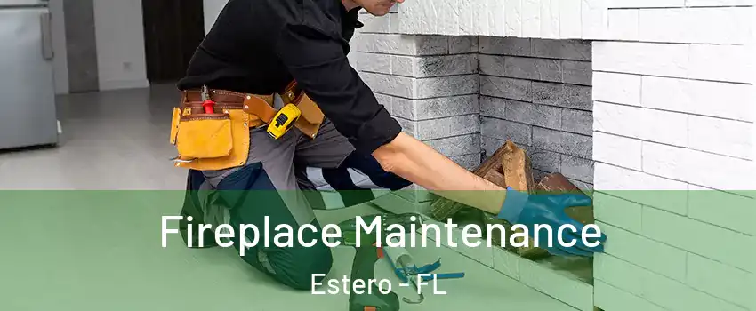  Fireplace Maintenance Estero - FL