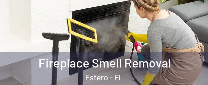  Fireplace Smell Removal Estero - FL
