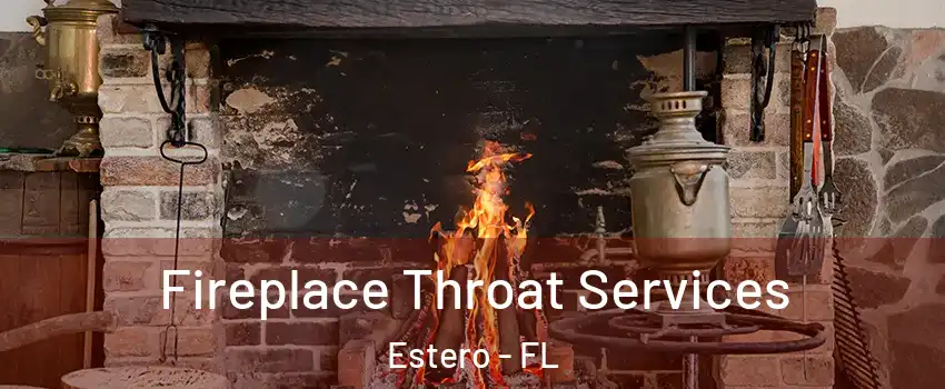  Fireplace Throat Services Estero - FL