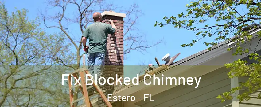  Fix Blocked Chimney Estero - FL