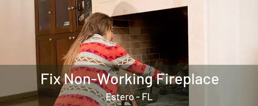  Fix Non-Working Fireplace Estero - FL