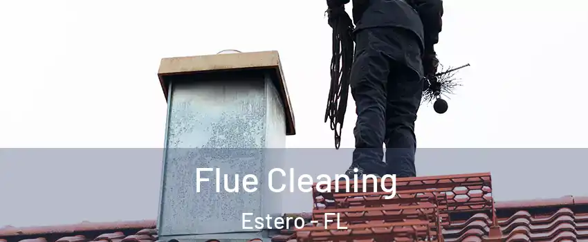  Flue Cleaning Estero - FL