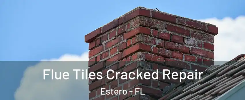  Flue Tiles Cracked Repair Estero - FL