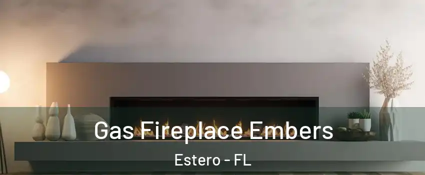  Gas Fireplace Embers Estero - FL