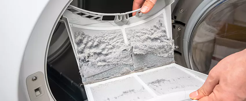 Best Dryer Lint Removal Company in Estero, Florida
