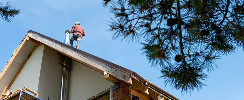 Birds Removal Contractors from Chimney in Estero, FL