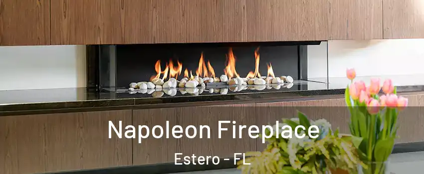  Napoleon Fireplace Estero - FL