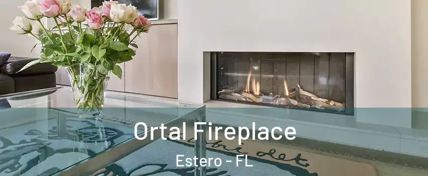 Ortal Fireplace Estero - FL