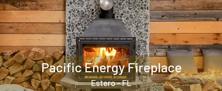  Pacific Energy Fireplace Estero - FL
