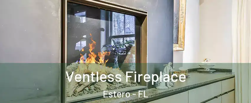  Ventless Fireplace Estero - FL