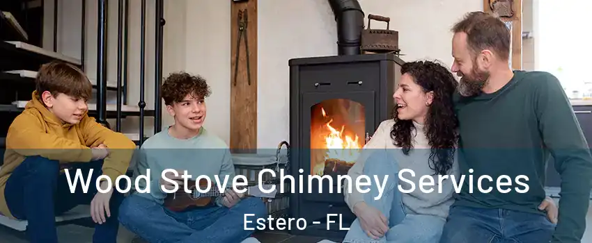  Wood Stove Chimney Services Estero - FL